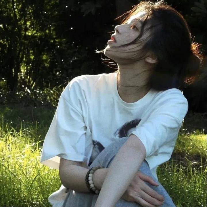 来自收容所的爱